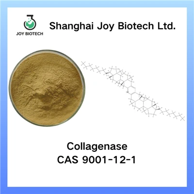 Kollagenase Collas 9001-12-1
